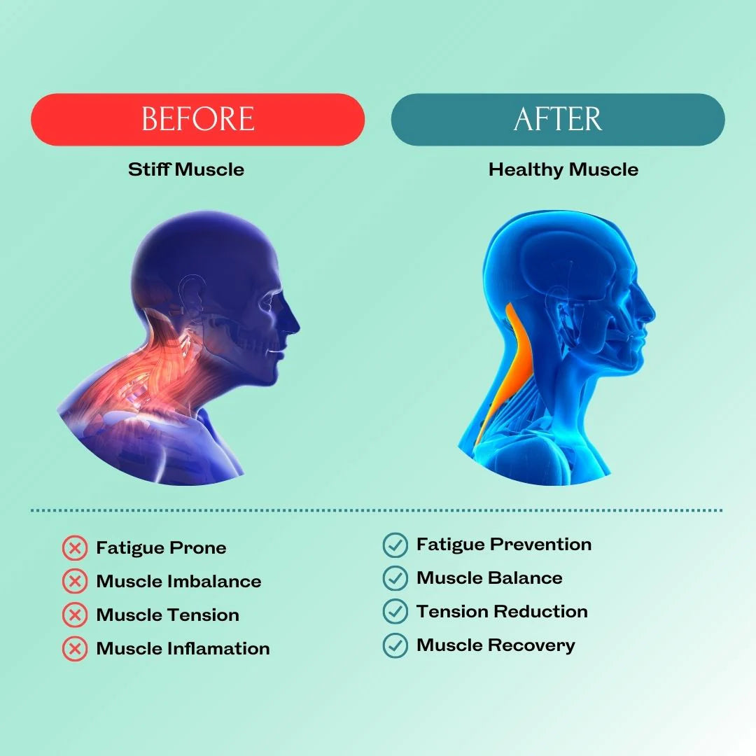 NeckRelief Pro - cp